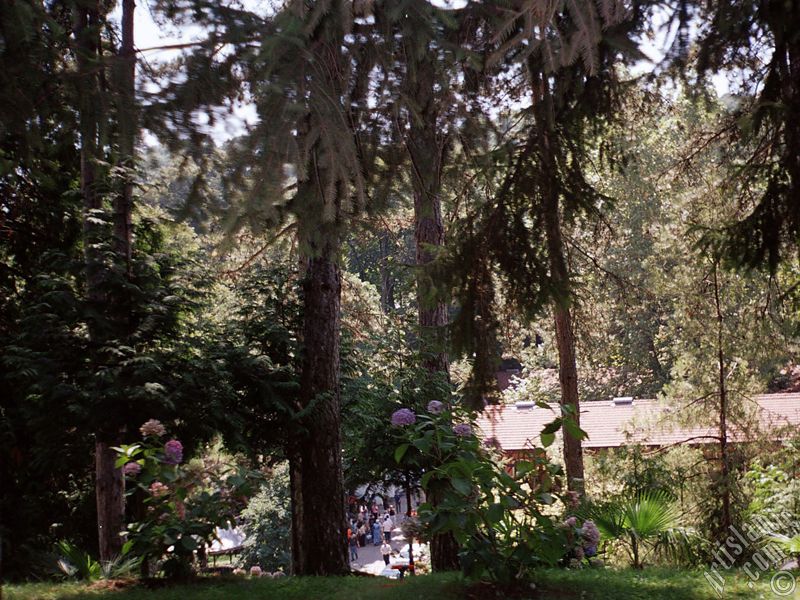 View of Termal-Gokcedere Village in Yalova city of Turkey.
