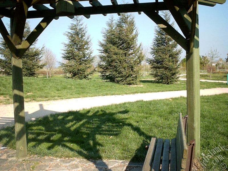 View of Botanical Park in Bursa city of Turkey.
